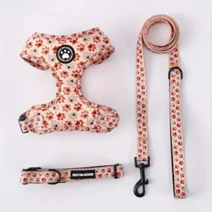 Harness for Cats Collar Leash Accessories