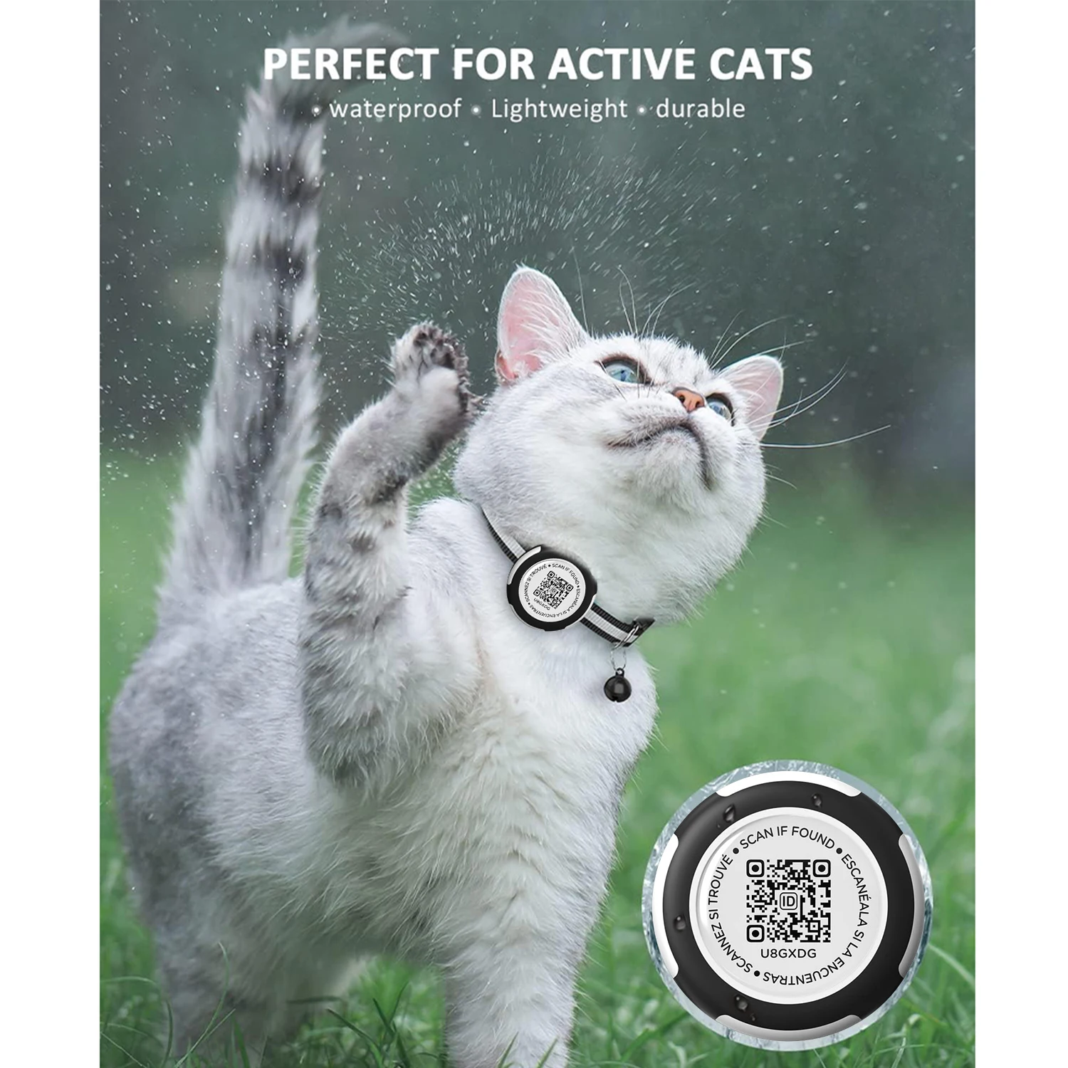 kf-S88a8b9b6a3ff49eeb72f19fd6d50bed2L