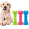 Bone Shape Teeth Grinding Chewing Toys