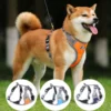 Harness Lead Dog Reflective Rainproof Collar