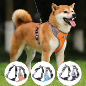 Harness Lead Dog Reflective Rainproof Collar